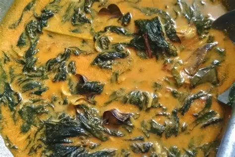 Resep Gulai Daun Singkong Sederhana Khas Padang Bikinnya Mudah Rasa