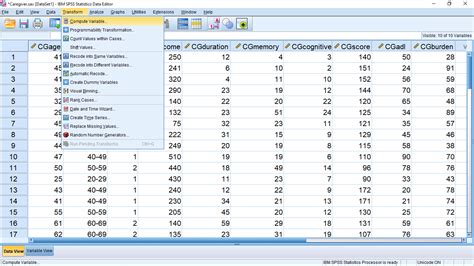 3 4 SPSS Lesson 2 Combining Variables And Recoding Introduction To