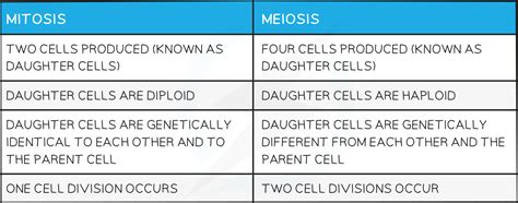 CIE IGCSE Biology 复习笔记17 1 7 Meiosis Extended