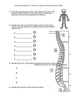 Vertebral Column Thoracic Cage Pectoral Girdle Practice TPT