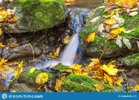 Creek with a Small Waterfall and Autumn Leaves Stock Photo - Image of ...