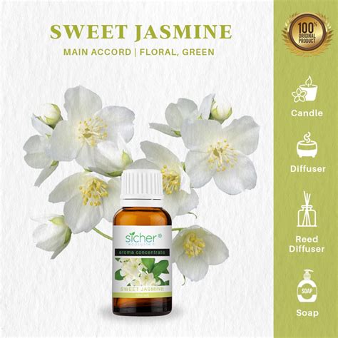 Jual Sicher Fragrance Oil Aroma Concentrate Minyak Aromaterapi