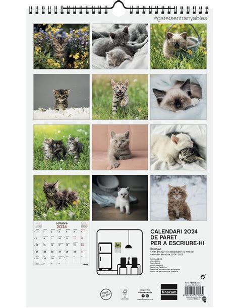 Calendario Pared Esp Escr Gatitos Cat Finocam Liquidac