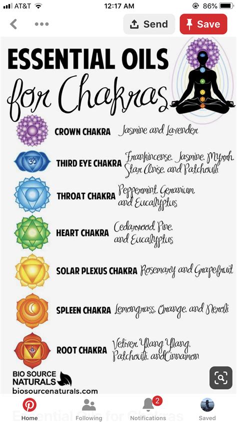 Chakra Consultation Form The Chakras The 7 Chakras Reiki Healing Artofit