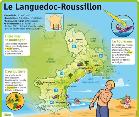 Educational Infographic Fiche Expos S Le Languedoc Roussillon