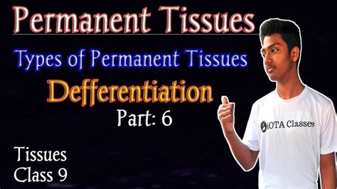 Permanent Tissues Types Of Permanent Tissues Defferention Permanent Tissues Class 9 Youtube