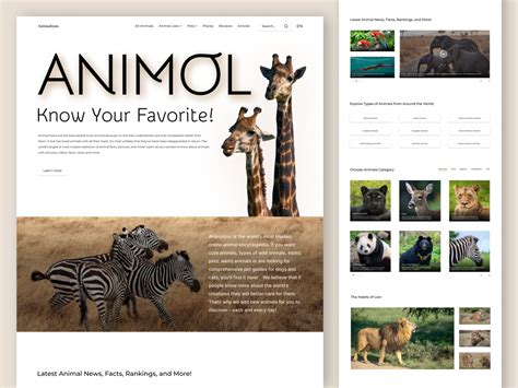 Animolzon Landing Page Exploration By Bitmate Studio On Dribbble