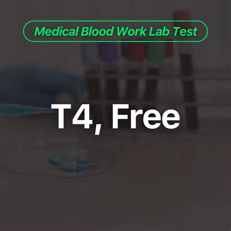 T4, Free Blood Work Test - Wittmer Rejuvenation Clinic