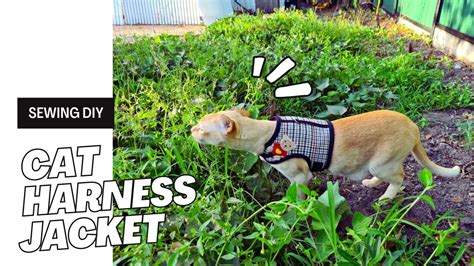 Sewing Diy Cat Harness Jacket Free Pattern Youtube