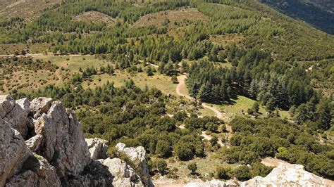 Regione Autonoma Della Sardegna Contributi A Favore Dei Territori