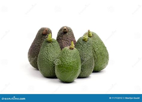 Avocados Stock Photo Image Of Avocados Ingredient Agriculture 11713212