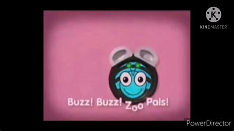 Zoopals In High Major Youtube