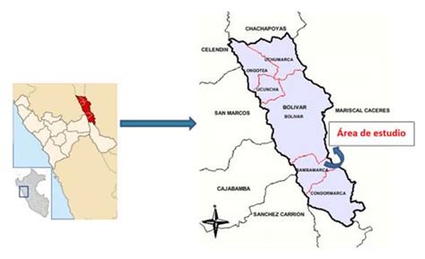 Ethnobotany Of Geum Peruvianum Rosaceae Existing In The Bambamarca