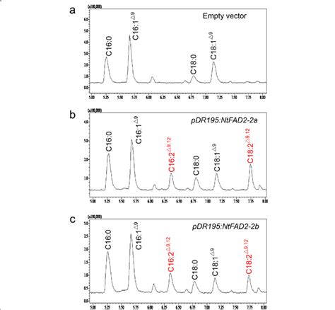 Gc Ms Analysis Of Fatty Acid Methyl Esters Fames From Yeast Cells