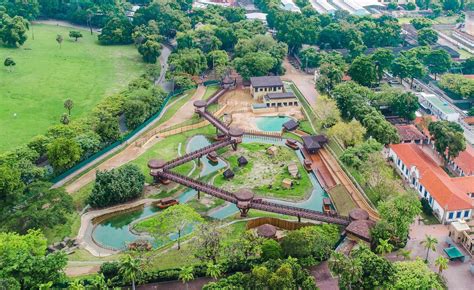 BioParque Do Rio Visita Guiada Transfer Rio De Janeiro Rio