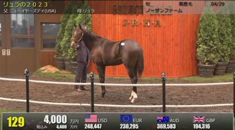 セレクトセール 気になってた馬 ブルースわんわんののんびり競馬