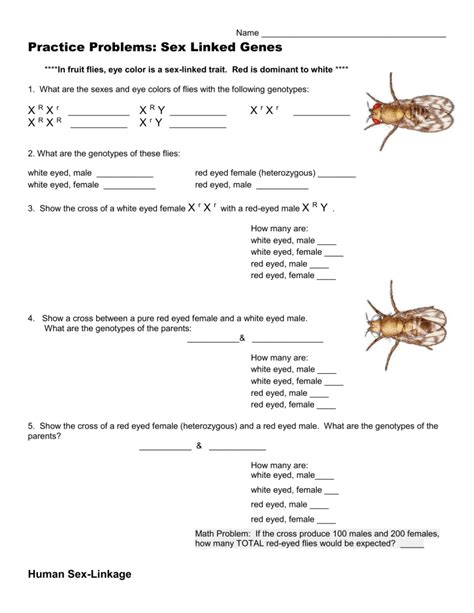 Practice Problems Sex Linked Genes