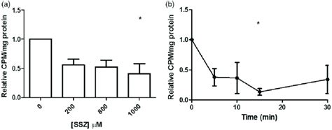 In Vitro Inhibition Of System X C Activity By Ssz In Mrmt Cells