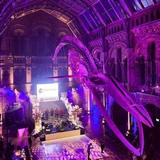 Elari Events (@elari_events) • Instagram fotografije i videozapisi