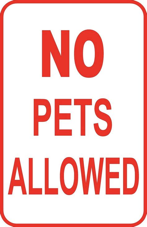 No Pets Allowed Sign 12" x 18" Aluminum Metal Road Street Park Buildin – Appealing Signs