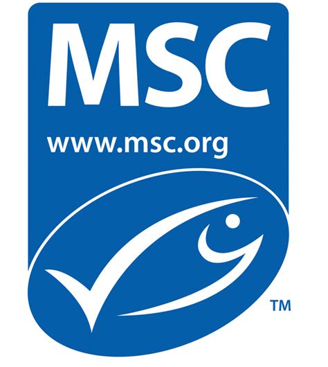 Msc Logo Logodix