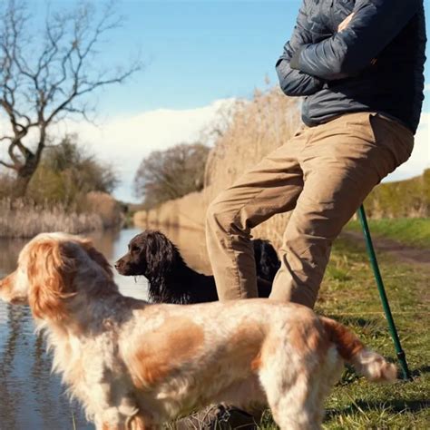 Flip Stick Orginal Zitwandelstok Kopen Laagste Prijs