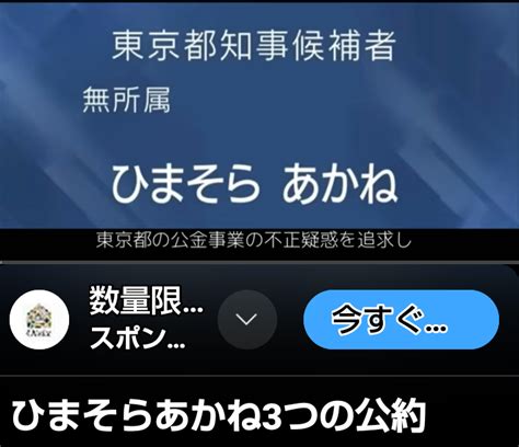 さぁ最後の日曜日、東京都知事選挙はひまそらあかね氏を 琉球戦士！仲泊兼也40代からの肉体改造計画！blog