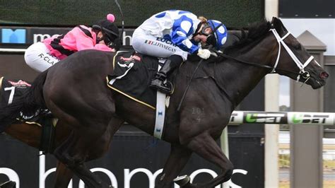 Lord Reims Stakes Emily Finnegan Booked For Benzini Nt News
