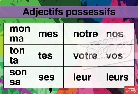 French Pronouns And Adjectives Charts Set Of 9 French Teacher S Discovery