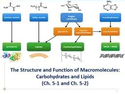 PPT - 1 The Structure and Function of Macromolecules: PowerPoint ...