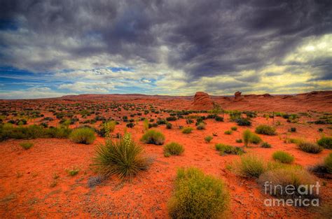 Desert Evening Photograph By Kelly Wade Fine Art America