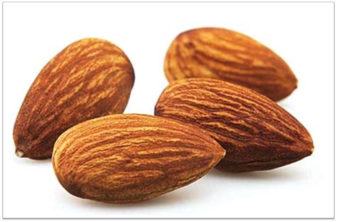 Growing Almonds: Fact or Opinion | California Agriculture in the Classroom