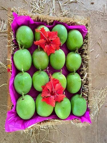 Yellow Ratnagiri Alphonso Mangoes 2024 Wooden Box At 3000 Box In Pune