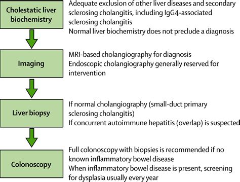 Primary Sclerosing Cholangitis The Lancet