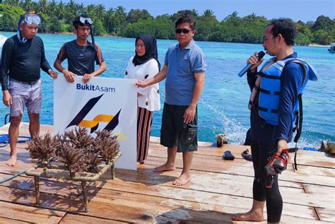 Bukit Asam Konservasi Terumbu Karang Di Pulau Pahawang Republika Online