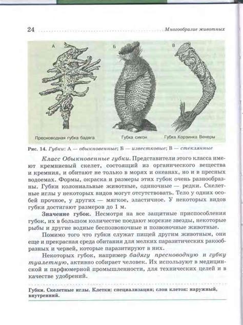 Учебник биология 7 класс Латюшин читать онлайн