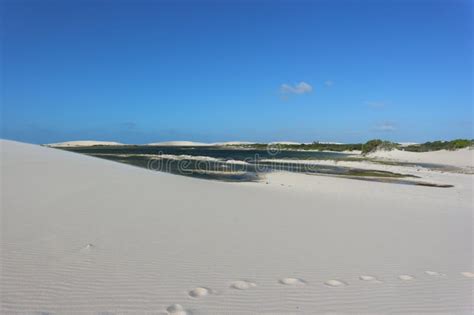 Lagoons and Dunes in Jericoacoara National Park Stock Photo - Image of horizon, lagoons: 285737446