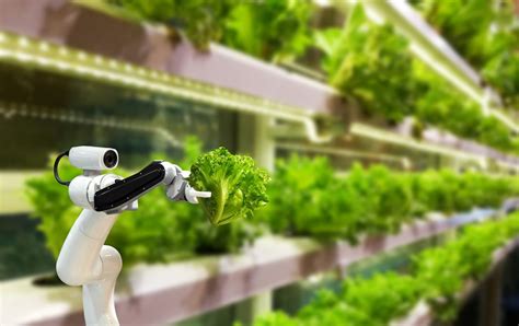 Vertical Farming Provides Sustainable Food Solutions Ifco