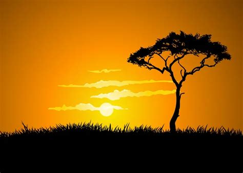 Savana sunset Stock Photos, Royalty Free Savana sunset Images ...