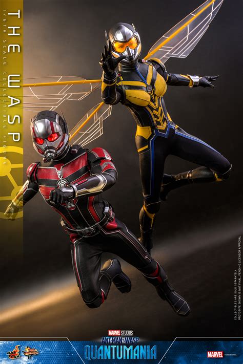 Ant Man And The Wasp Quantumania Hot Toys Ant Man And Wasp Figures The Toyark News