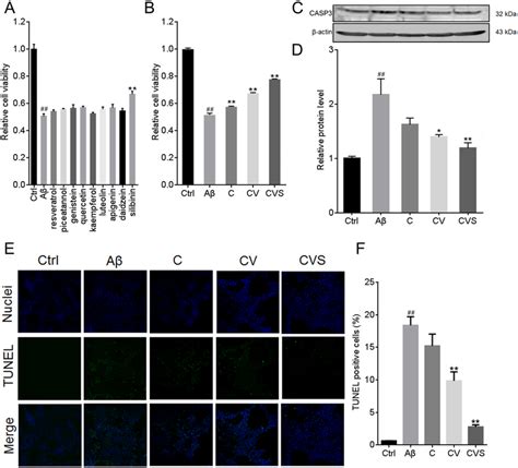 Cvs Treatment Inhibits A Induced Pc Cell Apoptosis A