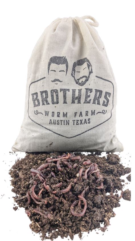 Red Wigglers And Compost Worms For Sale Buy Red Worms Online Brothers Worm Farm