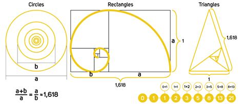 Le nombre d or et ses propriétés dans le design Canva