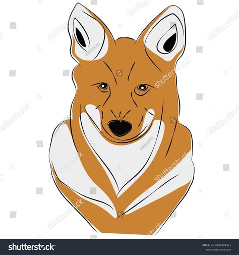 Illustration Golden Jackal Close Golden Jackal Stock Vector Royalty