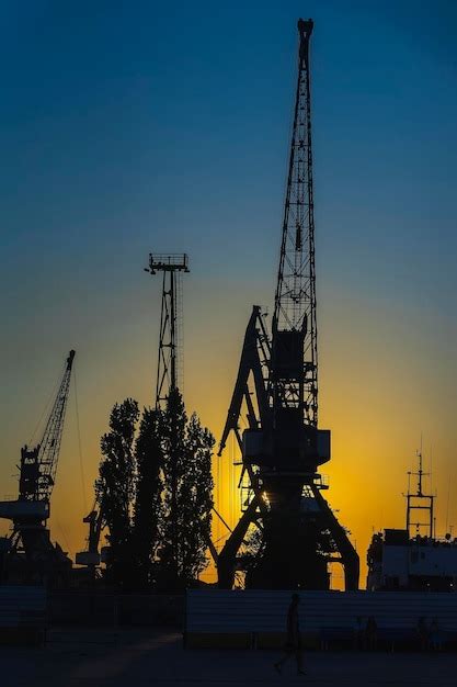 Premium Photo Low Angle View Of Silhouette Cranes Against Sky At Sunset