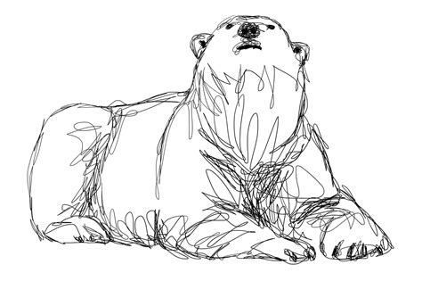 Polar Bears Drawing