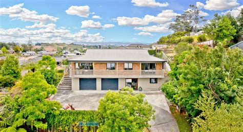 Free Property Data For 17 Newcastle Road Dinsdale Hamilton Nz