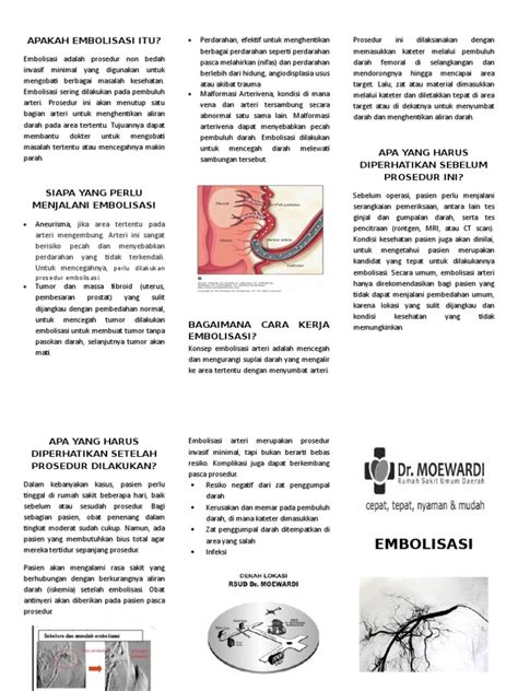 Embolisasi Leaflet Pdf