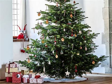 Comment Disposer Les Guirlandes Sur Un Sapin De No L Juste Une