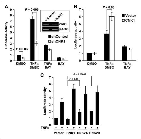 Cnk Isoforms Regulate Nf κb Reporter Activity Upstream Of Ikks A Cnk1